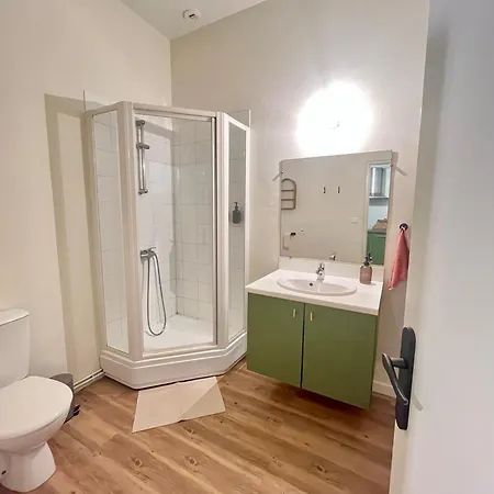 Le Villaret - En Hypercentre Apartment Auch